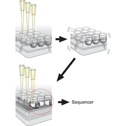 DNA Sequencer illustration